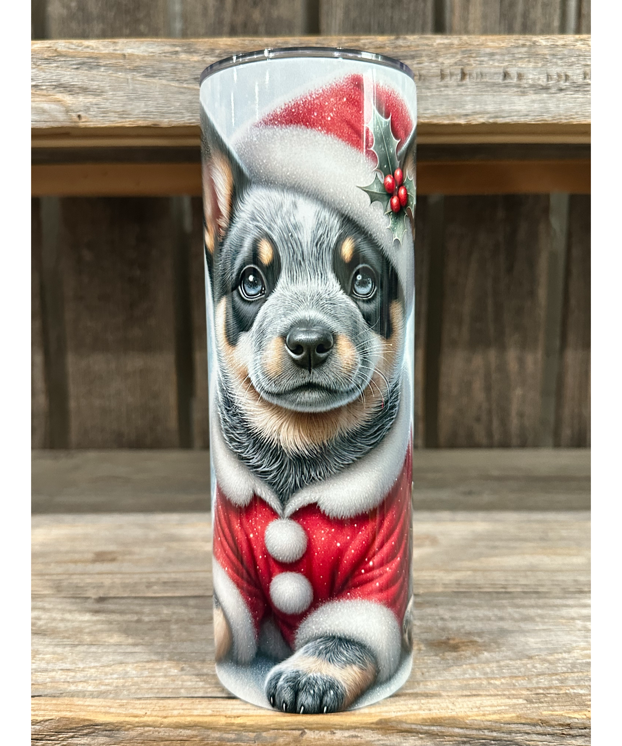 Australian Cattle Dog - Puppy Christmas