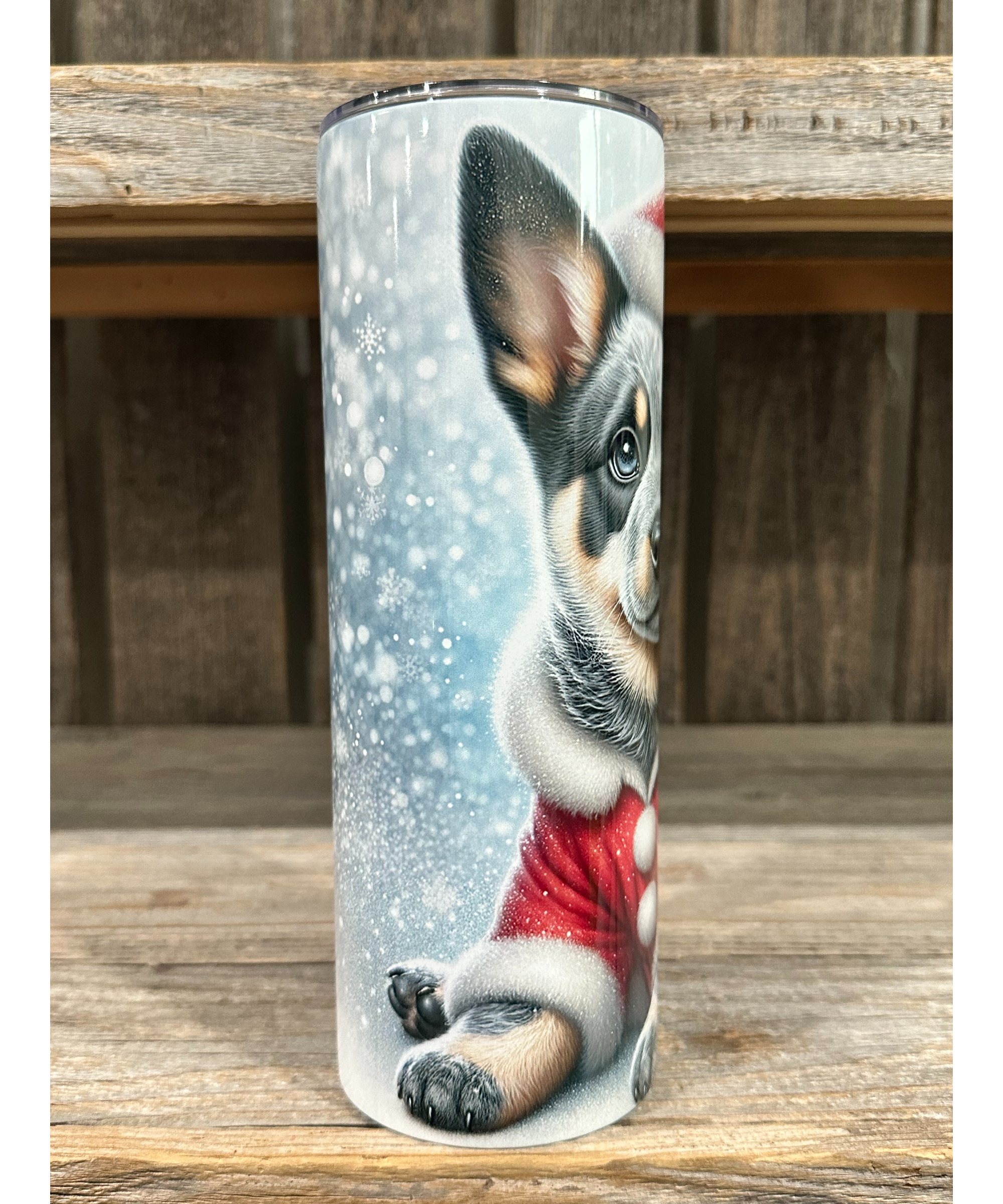 Australian Cattle Dog - Puppy Christmas