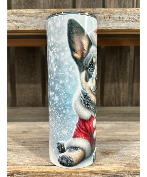 Australian Cattle Dog - Puppy Christmas