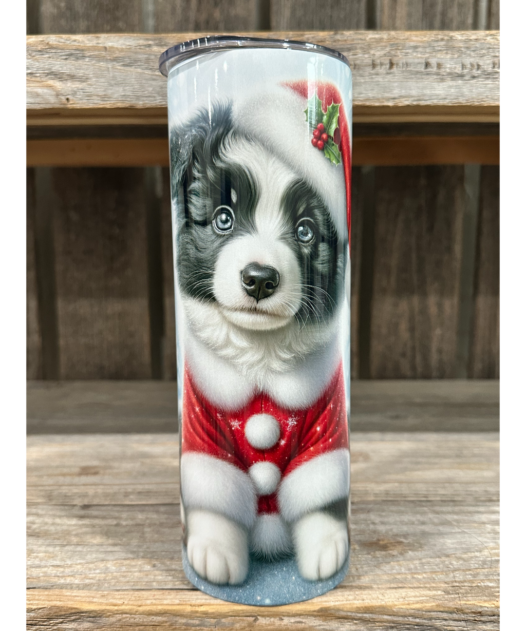 Border Collie - Puppy Christmas