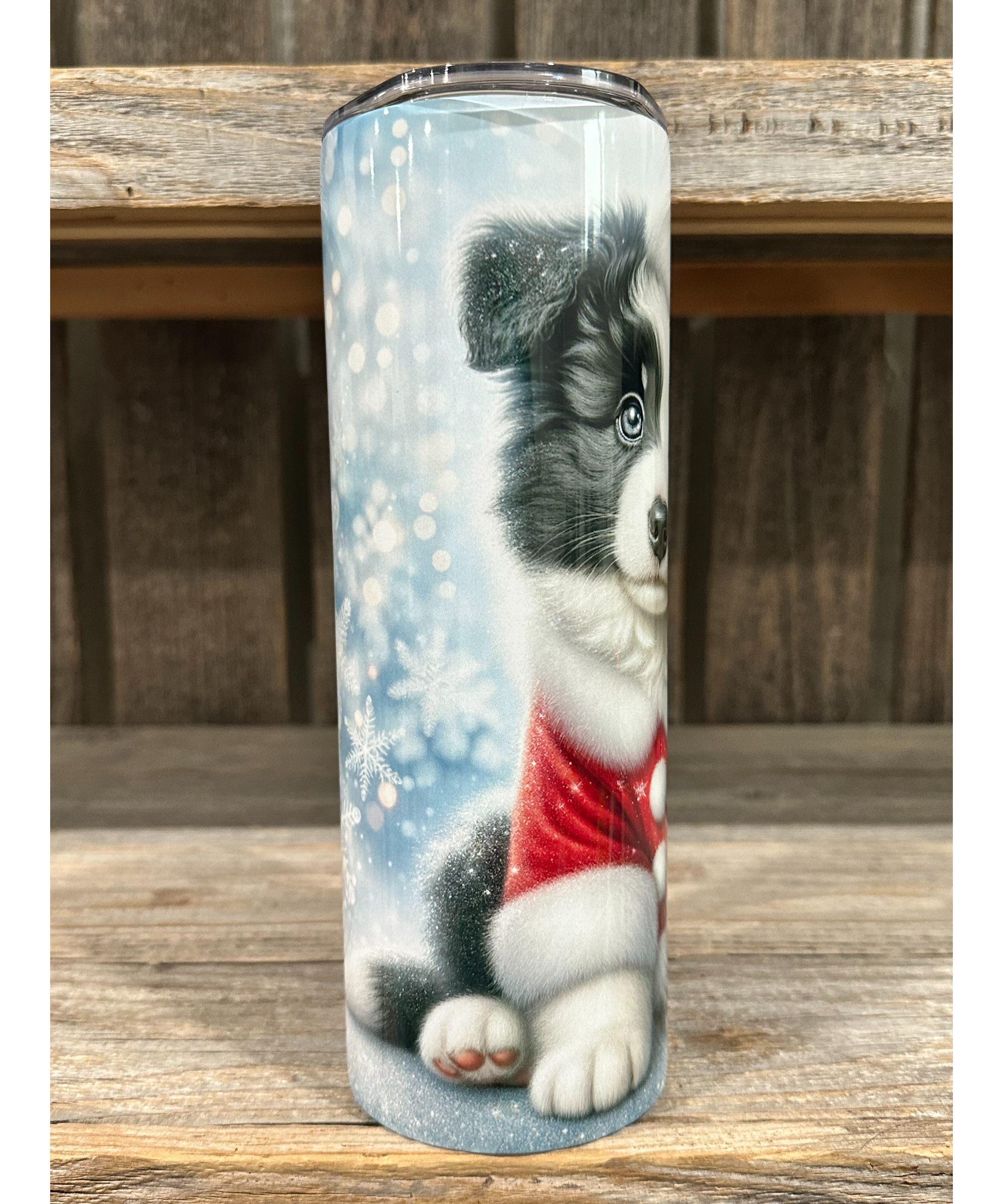 Border Collie - Puppy Christmas