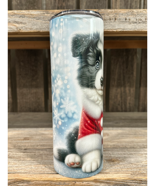 Border Collie - Puppy Christmas