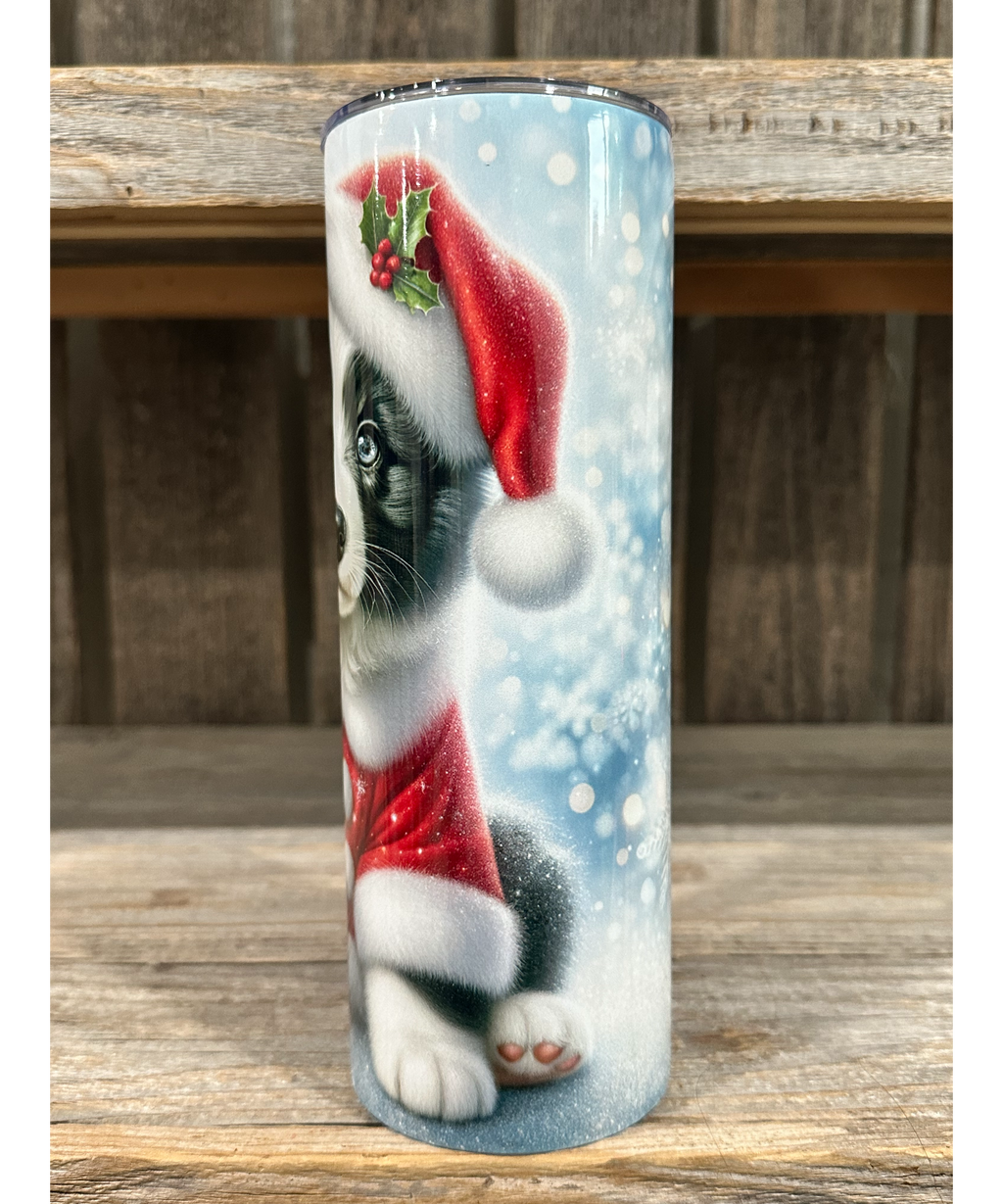 Border Collie - Puppy Christmas