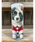 Border Collie - Puppy Christmas