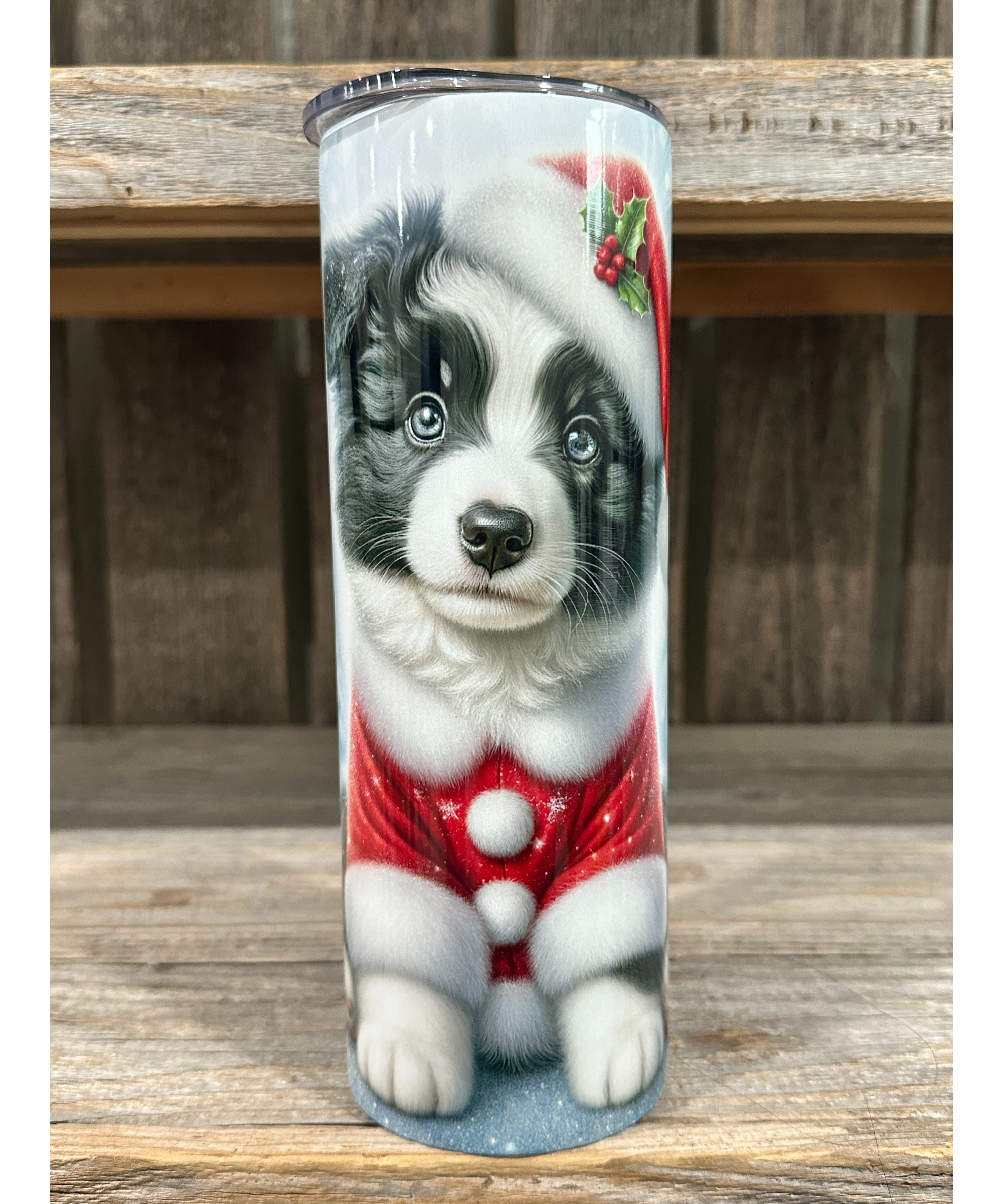 Border Collie - Puppy Christmas