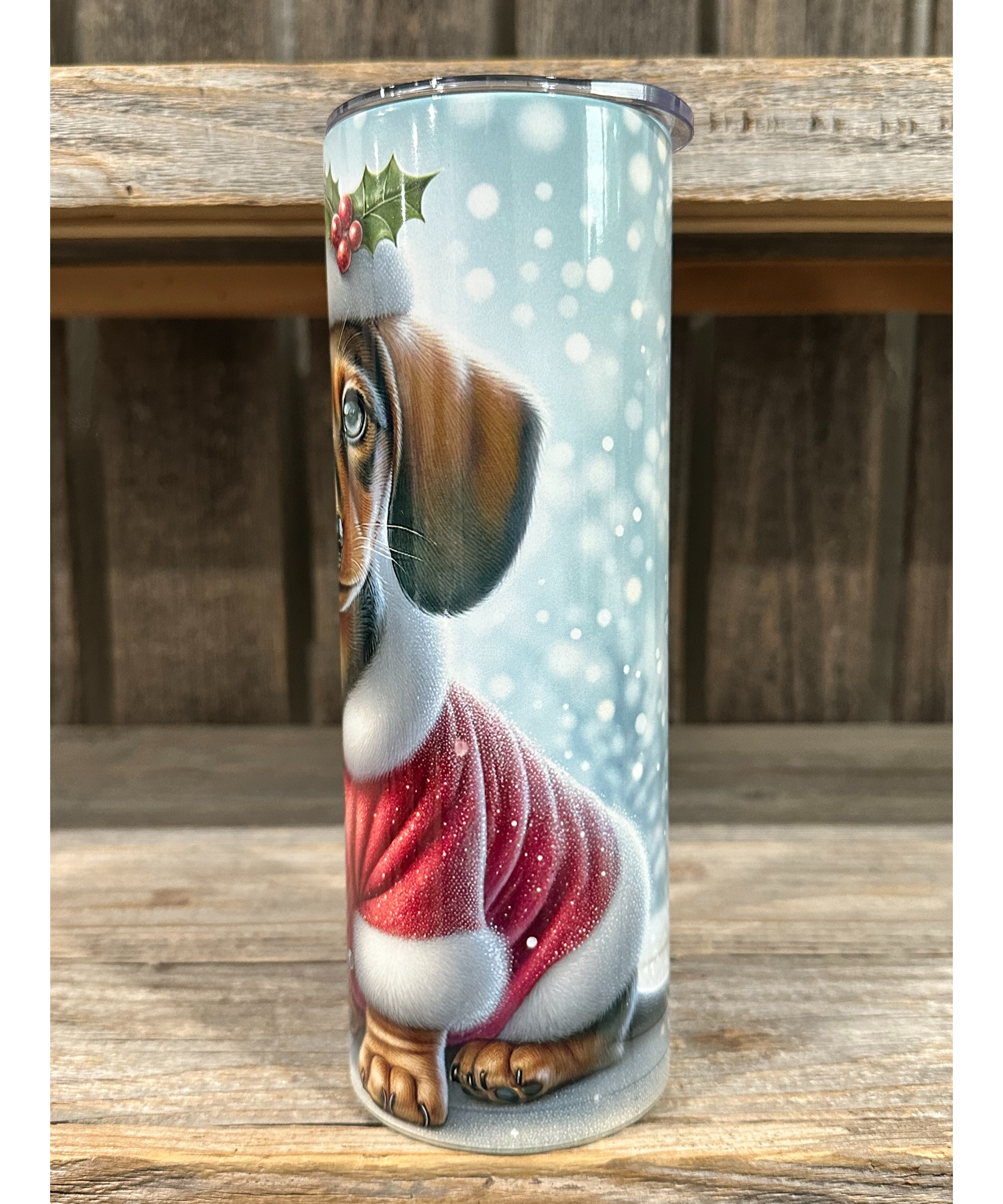 Dachshund - Puppy Christmas