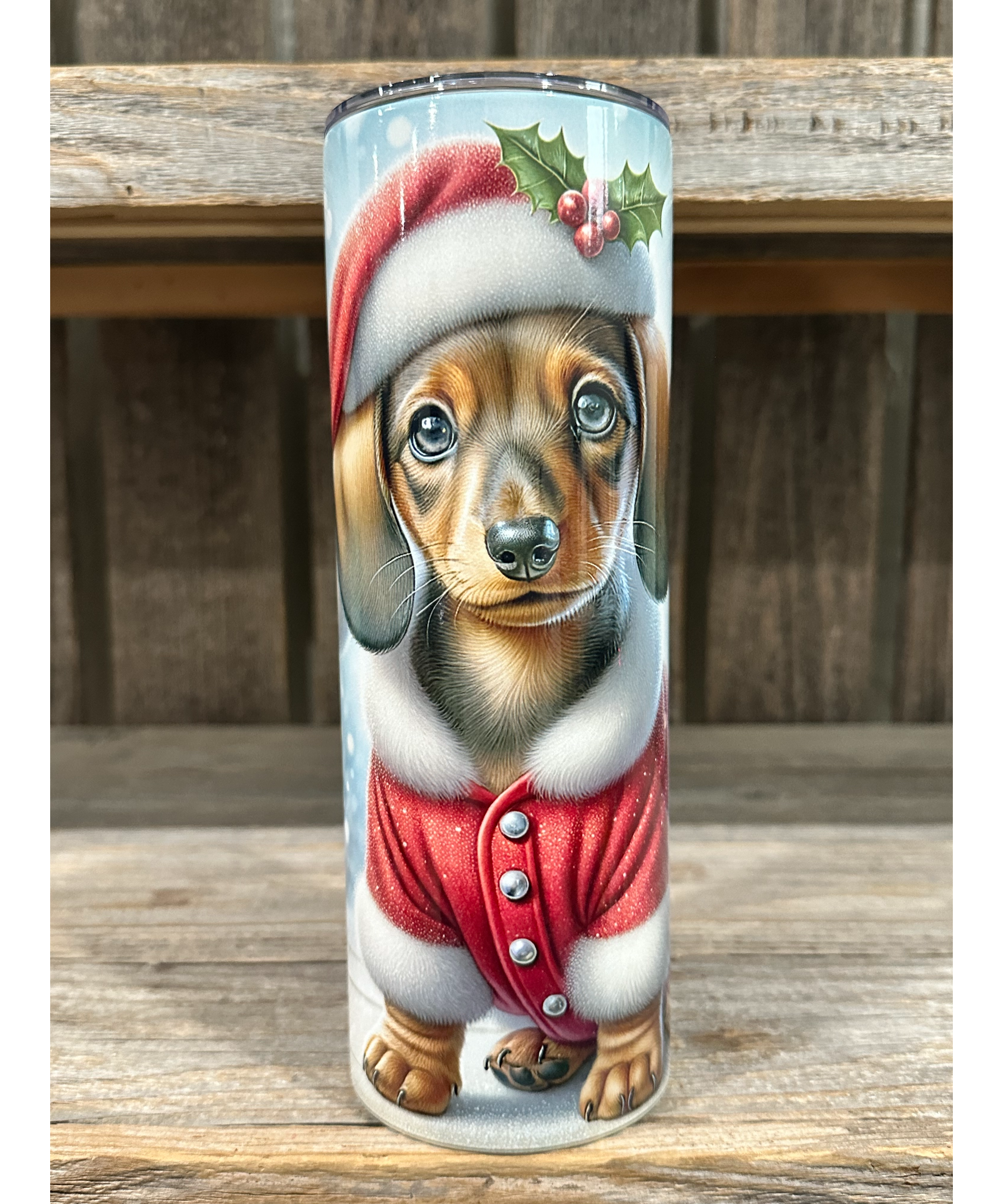 Dachshund - Puppy Christmas