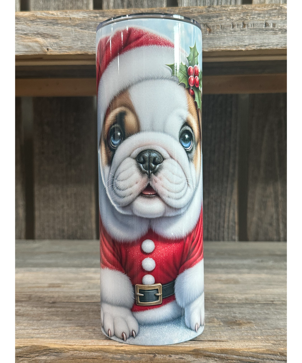English Bulldog - Puppy Christmas