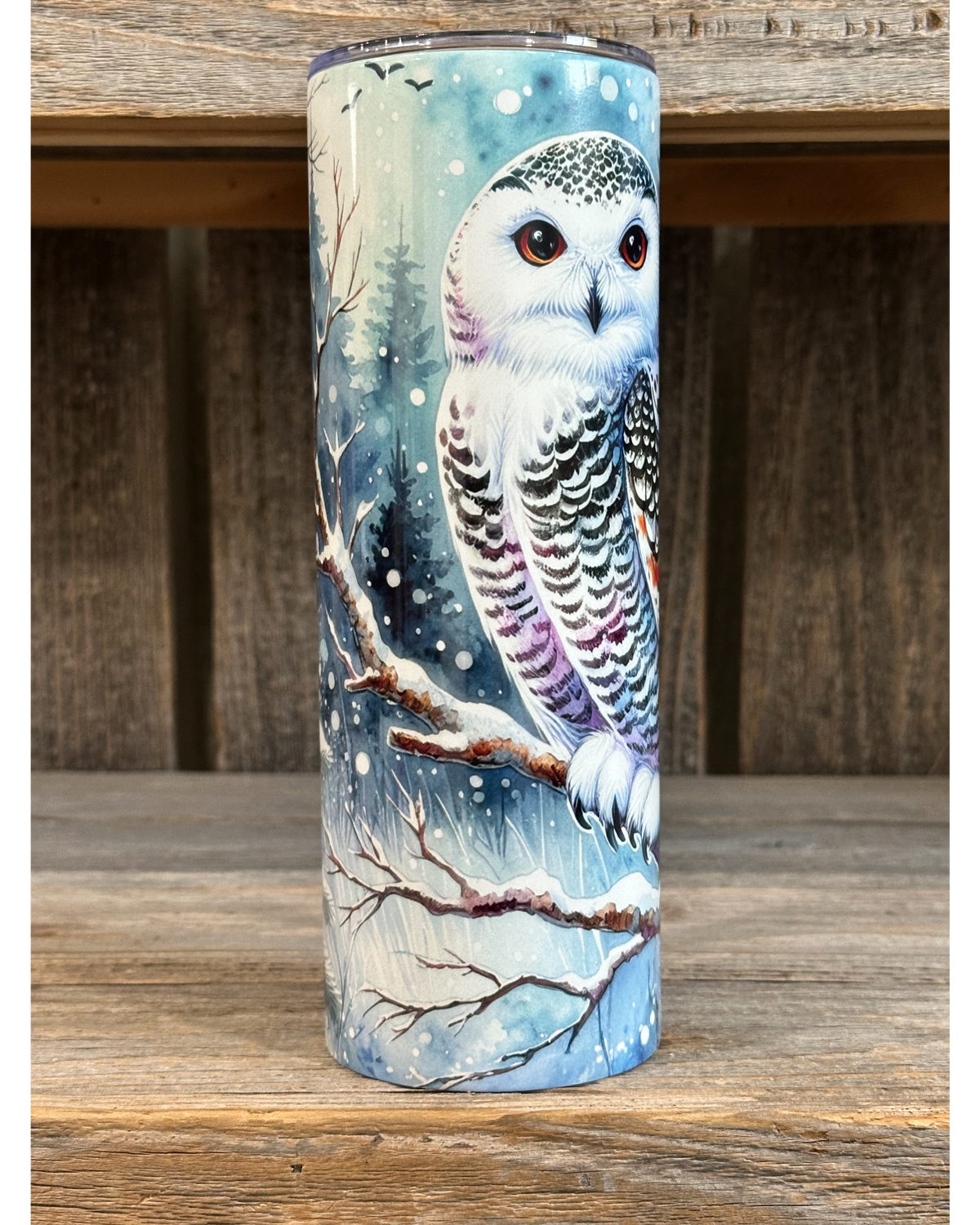 Snowy Owl