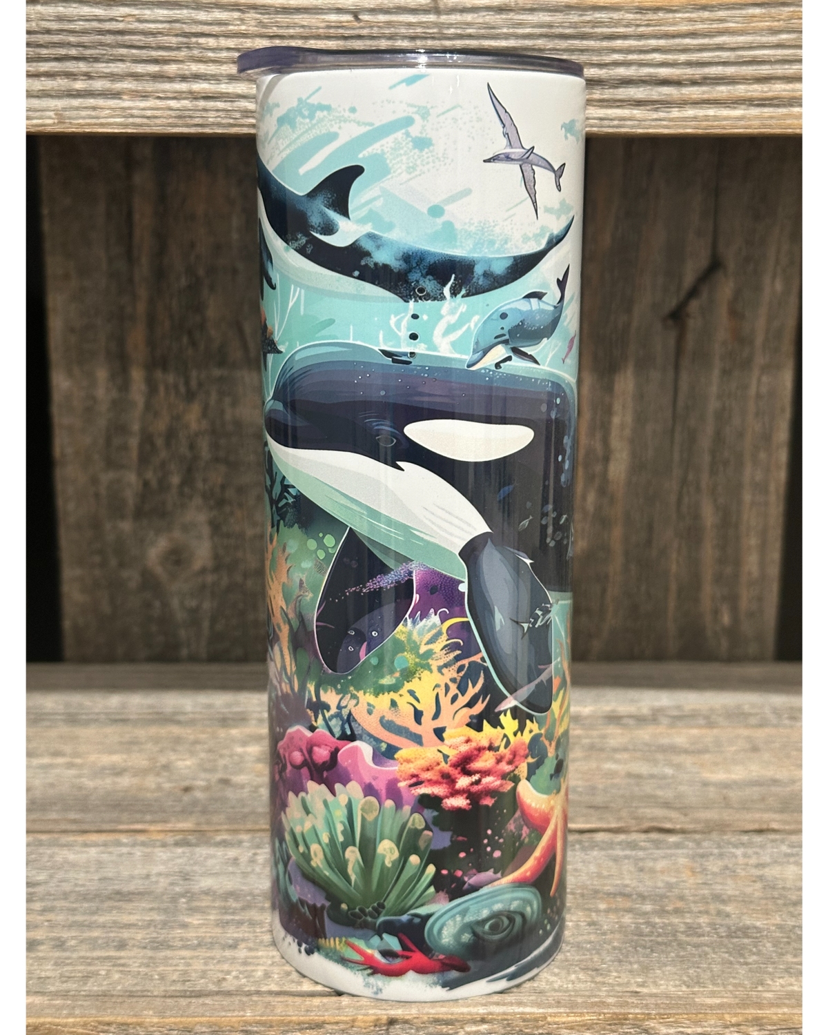 Orca Ocean