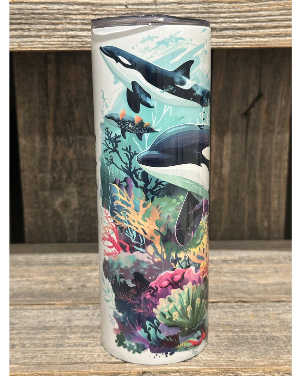 Orca Ocean