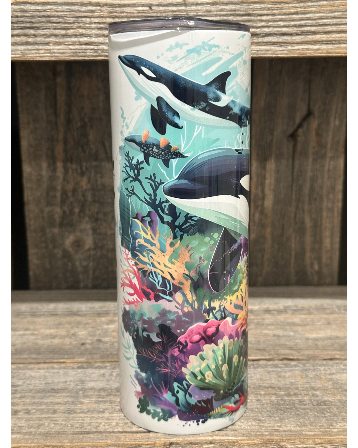 Orca Ocean