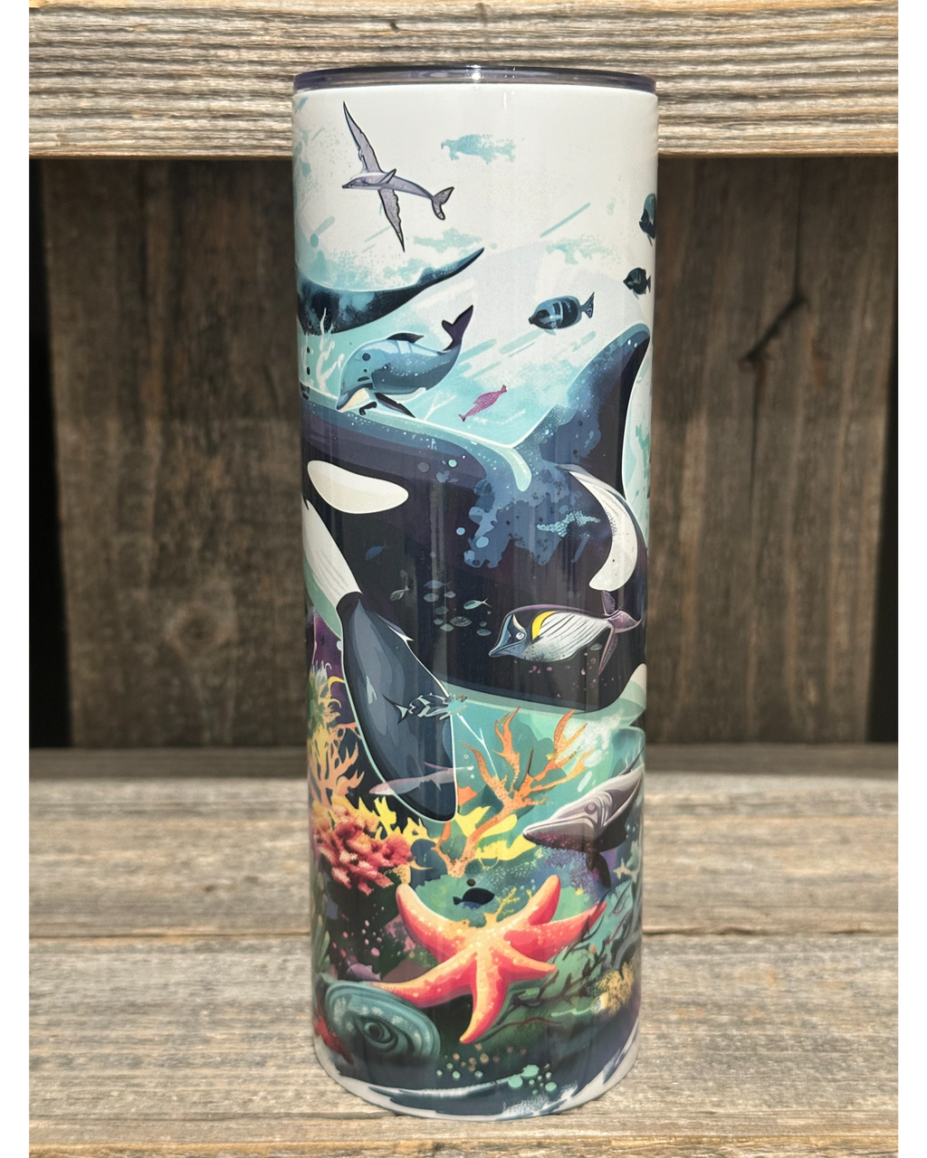 Orca Ocean