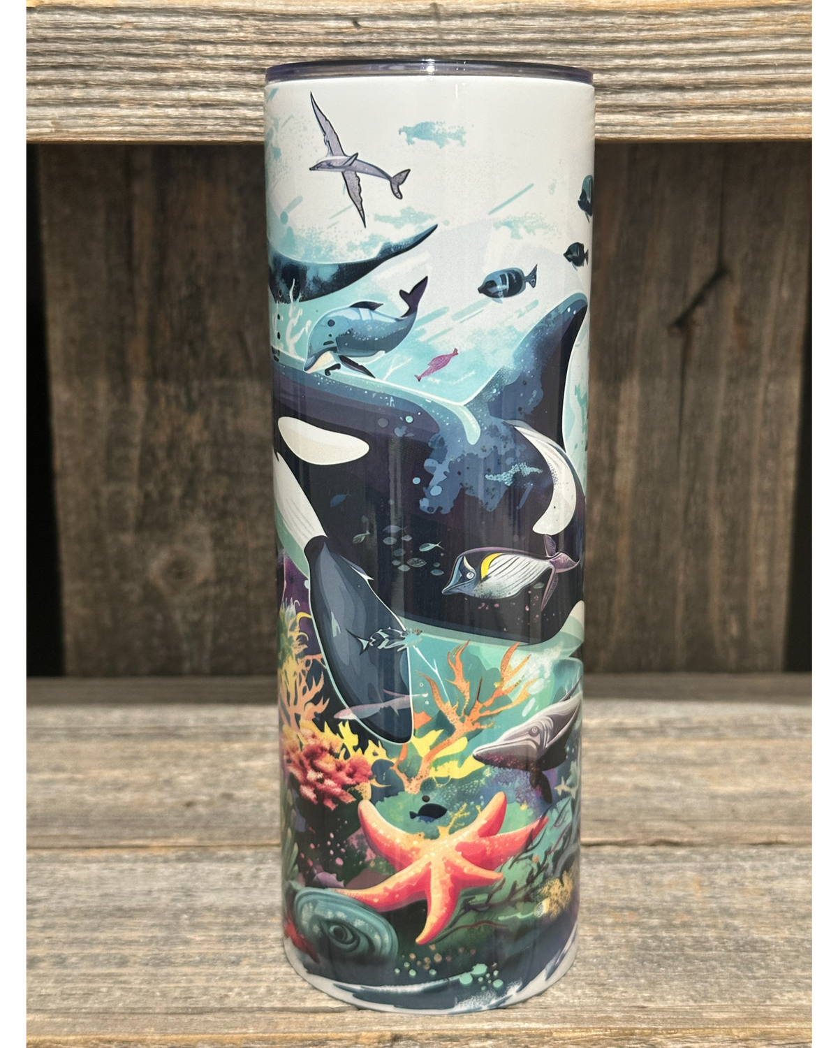 Orca Ocean