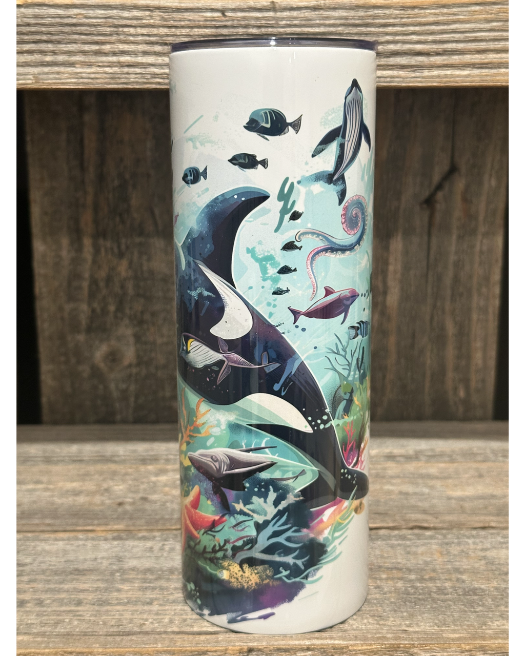 Orca Ocean