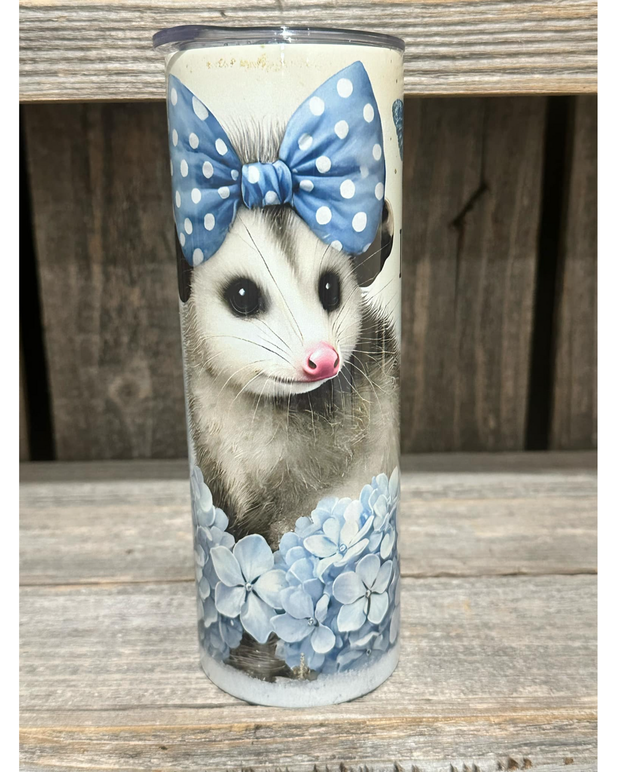 I Don't Listen, I Judge Opossum