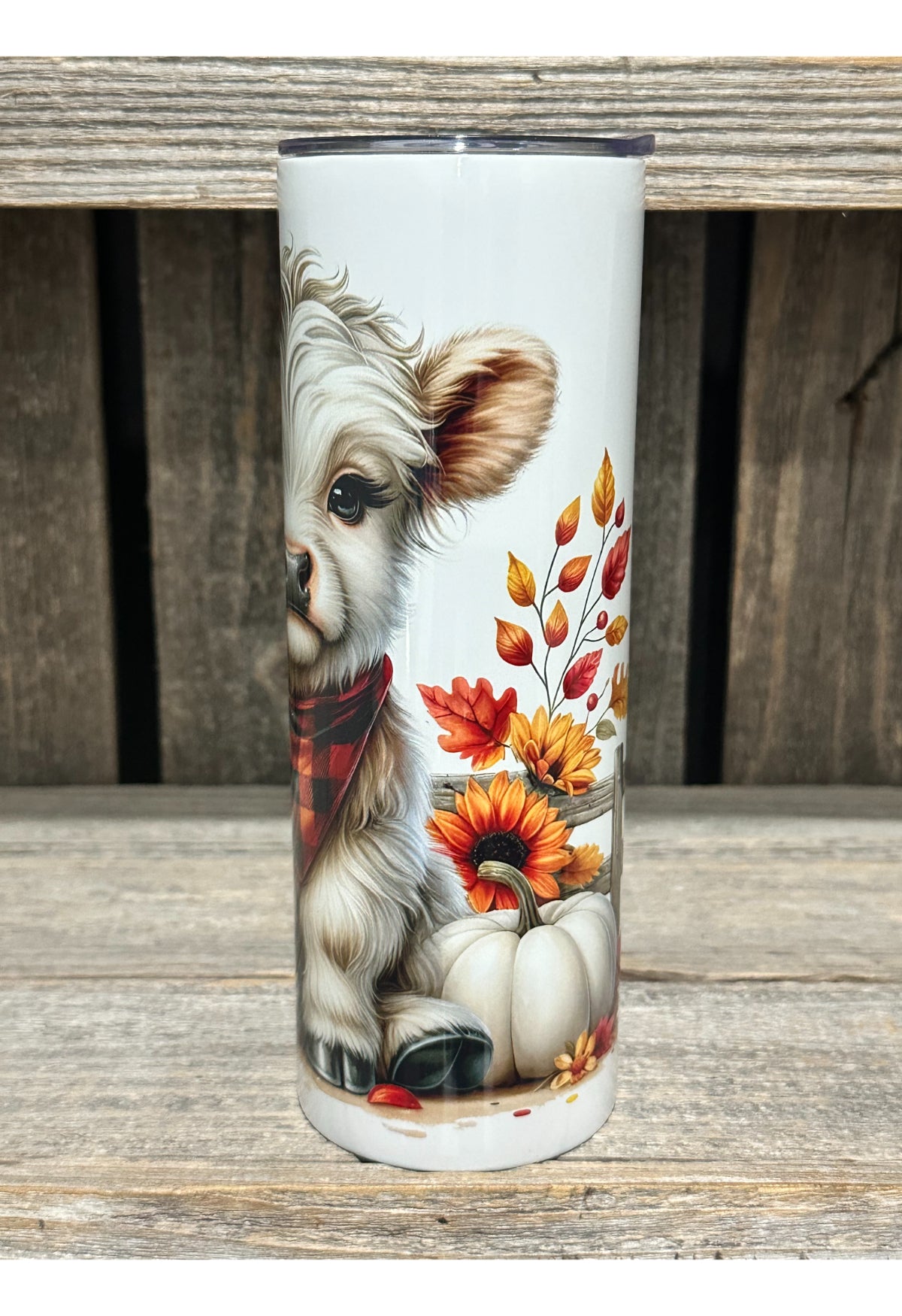 Fall Plaid Pumpkin Fence Highland Cow